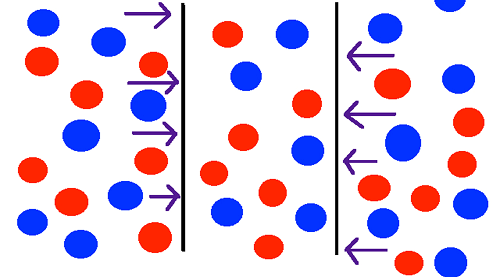 Casimir and vpYT2